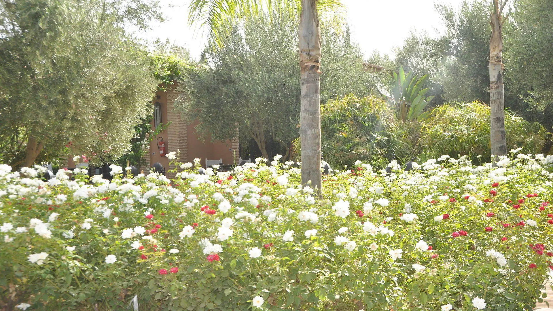 Riad Jawad & Spa マラケシュ